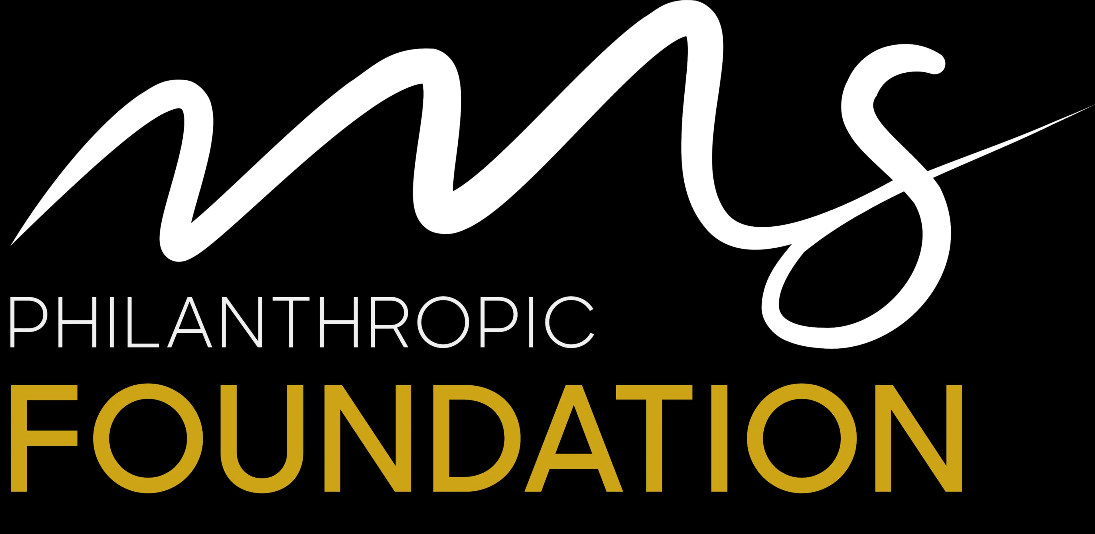 MS Foundation