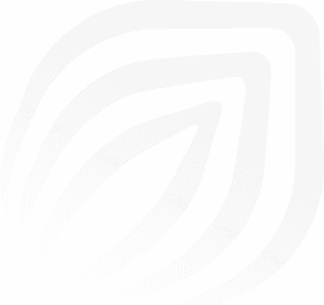 Stylised seed icon that represents the MS Kapital logo with multiple concentric curved shapes extending horizontally across a light background